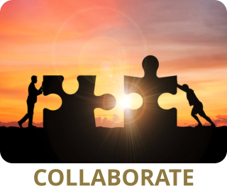 COLLABORATE