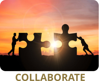 COLLABORATE